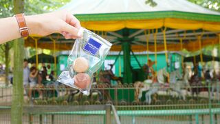 せっかくなので本場でマカロンを