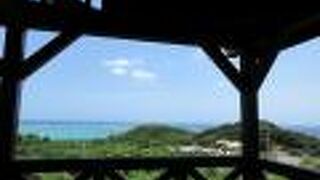 シーフォレスト