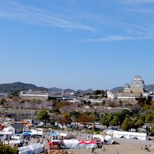 屋上から姫路城を一望