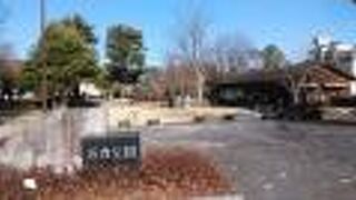 駅近くの自然環境豊かな公園