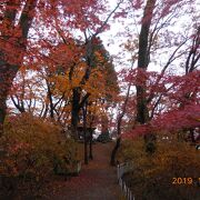 沼田城址公園です。