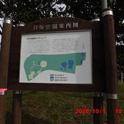 貝塚公園の東寄りの丘陵