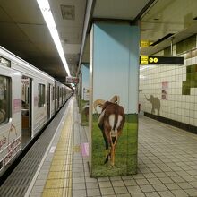 動物園前駅には１駅なので直ぐ到着、奥には小象が～