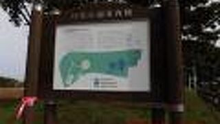 貝塚公園の東寄りの丘陵