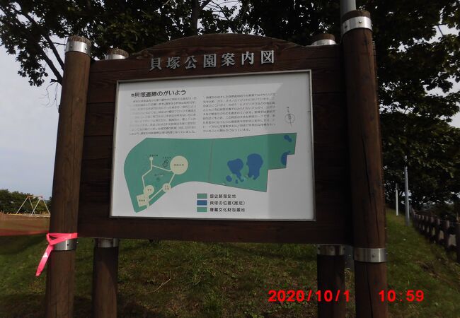 貝塚公園の東寄りの丘陵