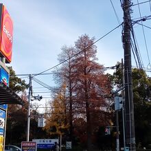 江戸川区自然動物園