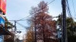 入場料無料にて