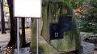 「翁の文字まだ身にそはず　衣がえ」　猿翁