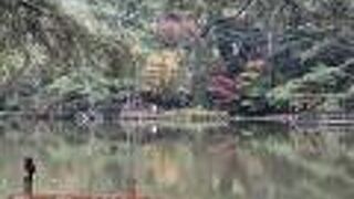 紅葉が池に写って美しい!