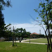 中央には広いグランドを配置