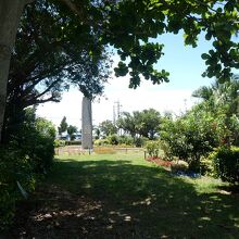 カンムリワシの像を背後から激写！