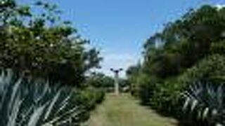 夜来香(いえらいしゃん)が栽培されています。