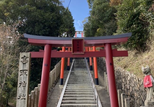 ここからの神戸の景色も絶景！トレランでもここは歩きましょう