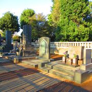 渋沢栄一のお墓があります