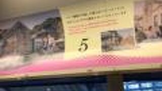 伊豆急で通常運行で使用されている