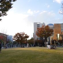 写真奥に見えるのはプラネタリウム。