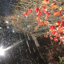 しんしんと降る雪