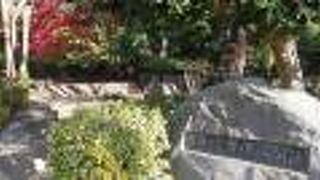 国分寺崖線の地形をいかした自然公園