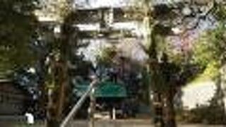 国分寺崖線上の歴史ある神社