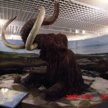 目立つマンモス