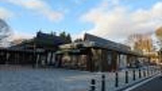 野菜が売られています