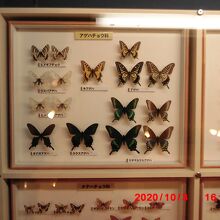 昔、収集していたので思い出しました