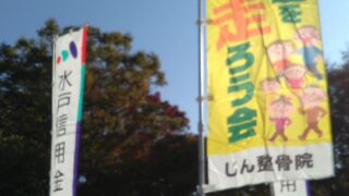 池の周りをゆっくり歩ける