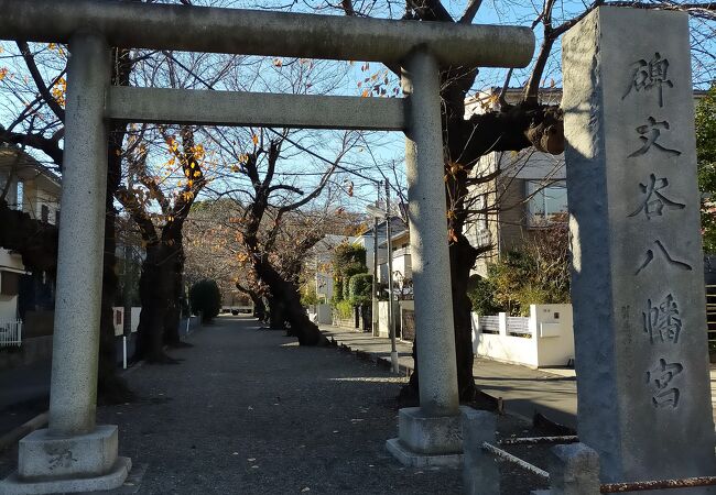 碑文谷村の鎮守で三の鳥居まである大きな神社です。