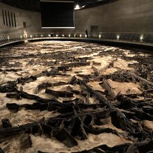 2万年前氷河期時代の大規模な埋没林の保存・展示です．