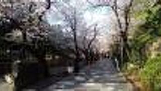 JR王子駅から近くて、アクセスがとても便利