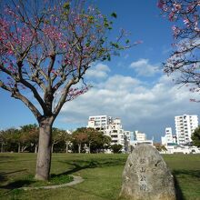 東側・出入口に成る石碑