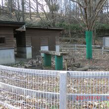 普段は山羊さんが居るはずですがいません