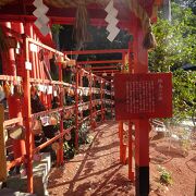 とてもきれいな神社でした。