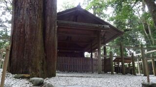 とても、位の高い神社だそうです。