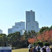 みなとみらい地区;海辺の芝生公園