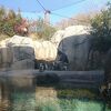リンカーンパーク動物園