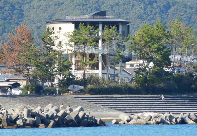 津波避難タワーのある海岸
