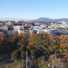 松見公園展望塔