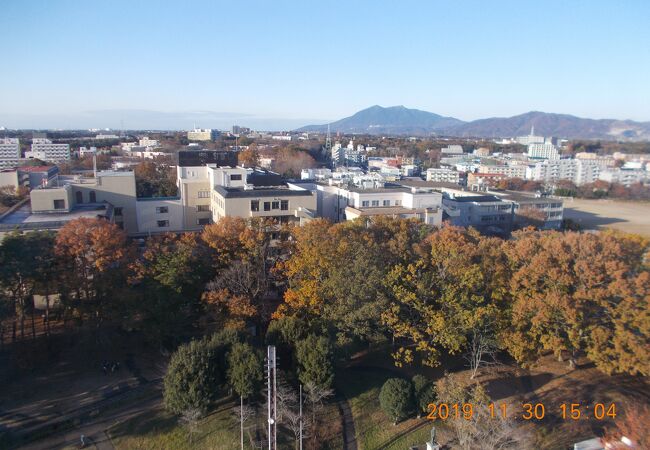 松見公園展望塔