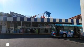 内浦湾の自然を生かした水族館
