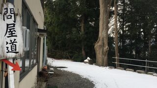 生活用水路がある裏道