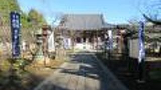 静かな上野を体感できます