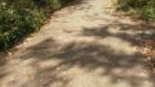 鎌倉時代からつづく道