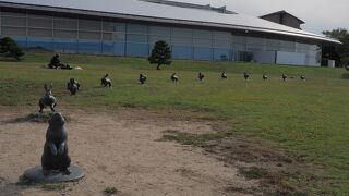 宍道湖とウサギさんを見に行きました