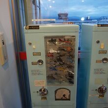 展望デッキ前　なかなか年代物な感じ