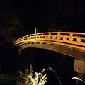 夜の神橋もキレイ