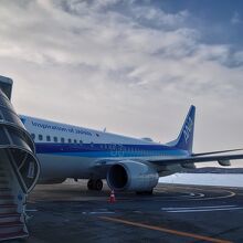 期待はいつものボーイング737-800