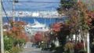 すてきな景色が見れたわ