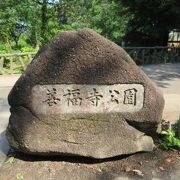 2020年8月　近所の善福寺公園を散歩♪