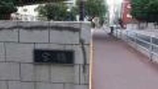 橋の両サイドに公園が整備されています